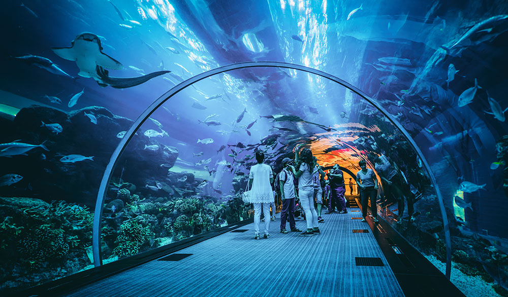 Gambar News @ Pembangunan Wahana Edukasi Oceanarium di Bintaro Jaya Xchange