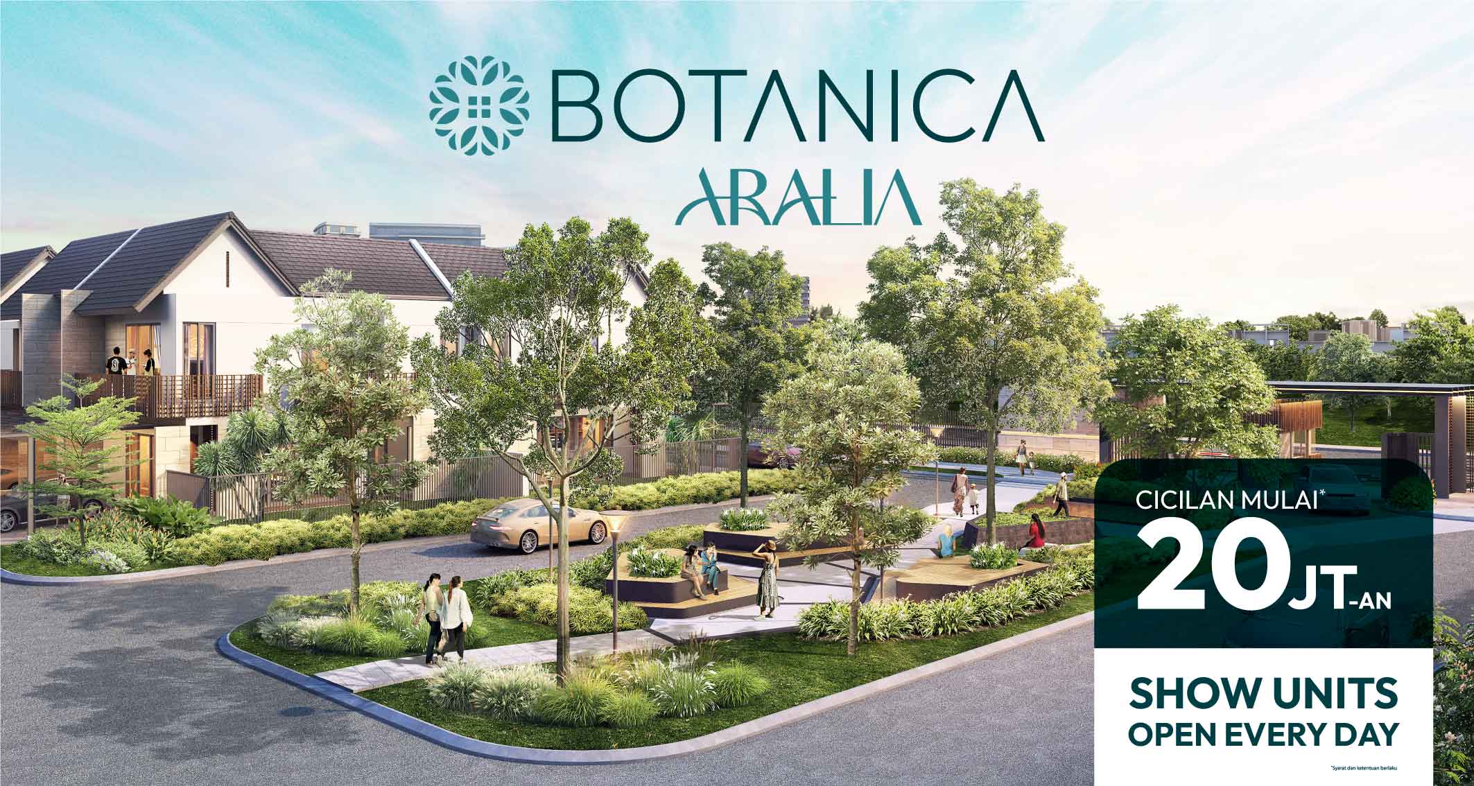 Promo Botanica Aralia